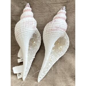 Katherine's Collection ~ Jeweled Faux Seashell Conch Shell Christmas Ornaments